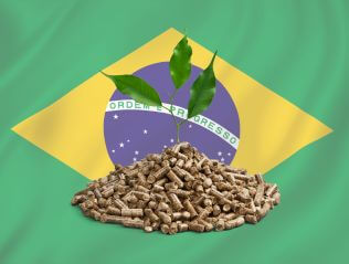pellebraz-brazil-portofeliz-granulado-madeira